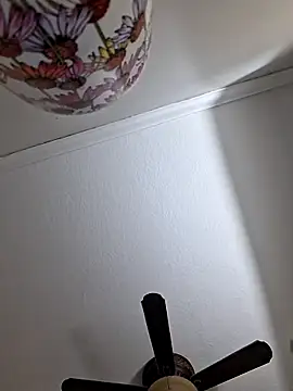 Snapshot of Zander823 chatting on 02.03.26 Zander823 online show from 02.03.26