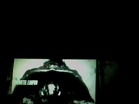 Snapshot of Skater29xx2 chatting on 01.15.25 Skater29xx2 online show from 01.15.25