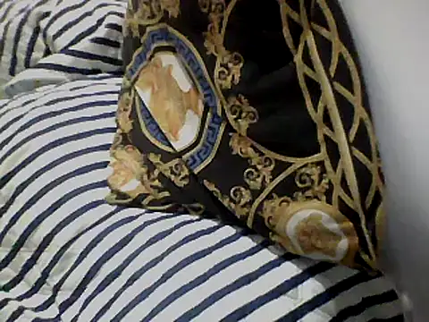 Snapshot of Skater29xx2 chatting on 03.12.25 Skater29xx2 online show from 03.12.25