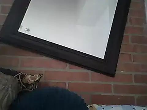 Snapshot of Skater29xx2 chatting on 03.15.25 Skater29xx2 online show from 03.15.25