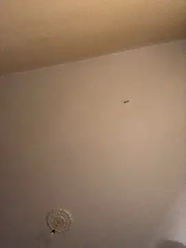 Snapshot of ClatteryPrexy chatting on 12.16.24 ClatteryPrexy online show from 12.16.24