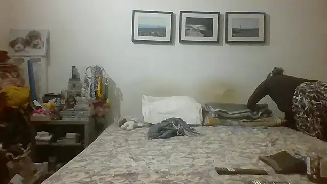 brasiliana49 online show from 05.16.26