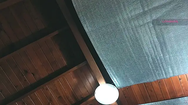 SilvaBranko online show from 04.07.26