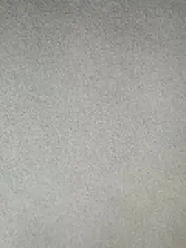 Armyexhibitionistvet online show from 03.17.26