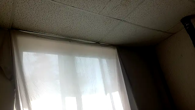 Armyexhibitionistvet online show from 04.05.26