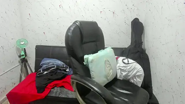  ace ventura online show from 04.15.26