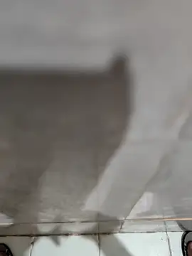 joejoe7 online show from 11.17.25