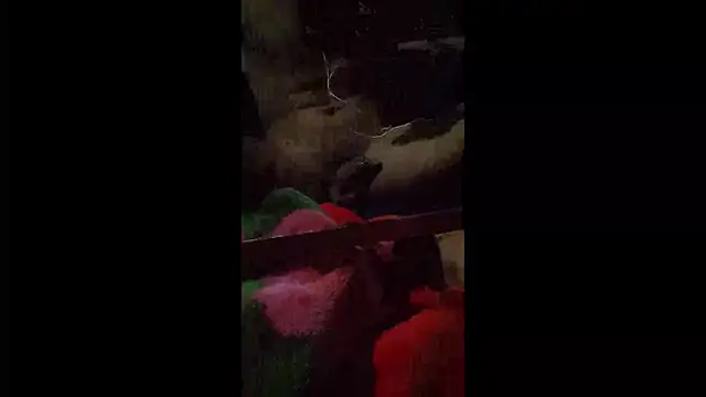 008Alexan online show from 04.22.26