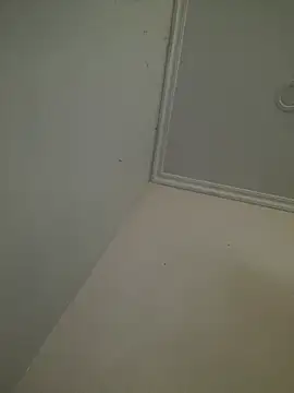 CieloTaylor online show from 02.25.26