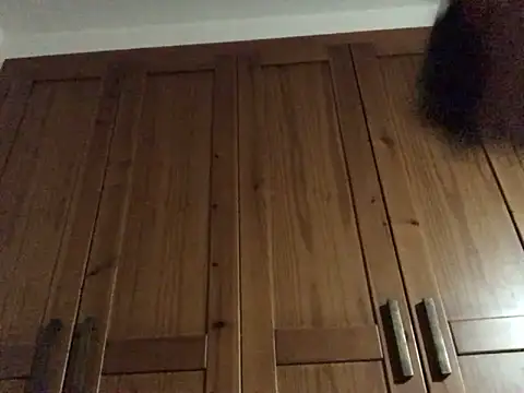 Snapshot of Dicksexhandjob chatting on 12.17.24 Dicksexhandjob online show from 12.17.24