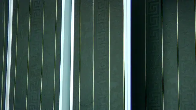 SophiaVilner online show from 04.08.26