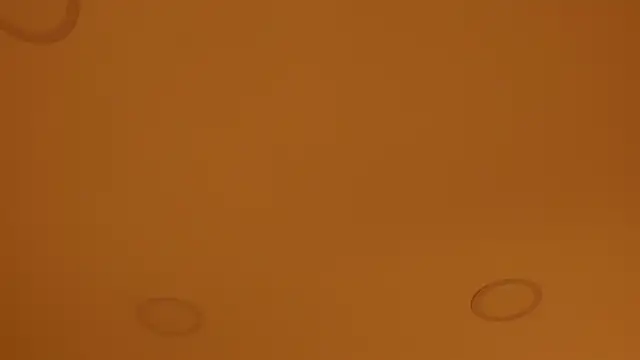 nakamura sam online show from 04.08.26