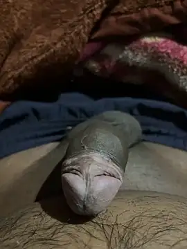 Snapshot of delhiboyz1 chatting on 02.16.25 delhiboyz1 online show from 02.16.25