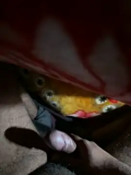 delhiboyz1 online show from 01.07.26