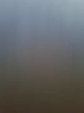 pachapeter online show from 04.20.26