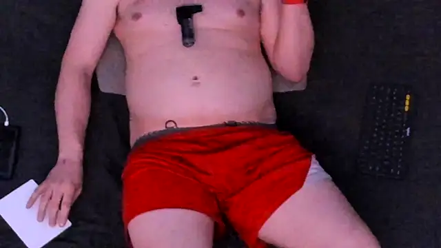 stillwild online show from 02.02.25