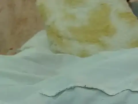 Snapshot of hairy_pussywet chatting on 02.04.25 hairy pussywet online show from 02.04.25