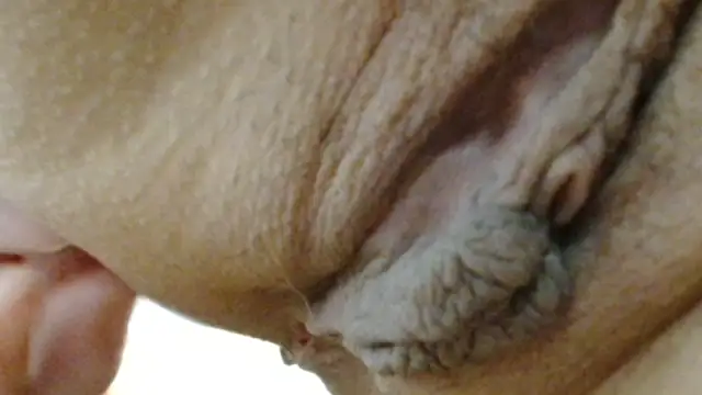 sonyx online show from 03.24.26