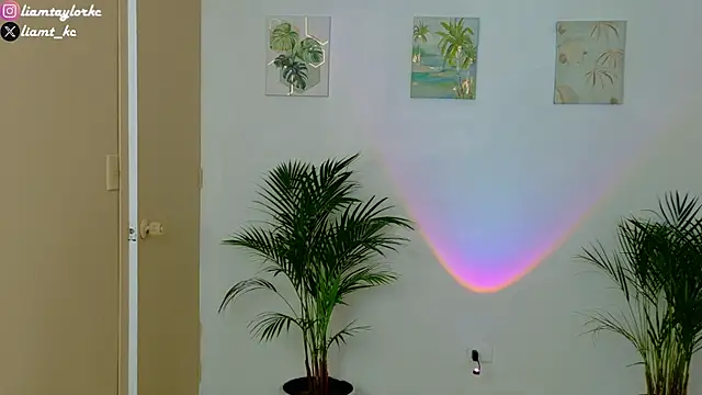 Liam Taylor online show from 12.03.25