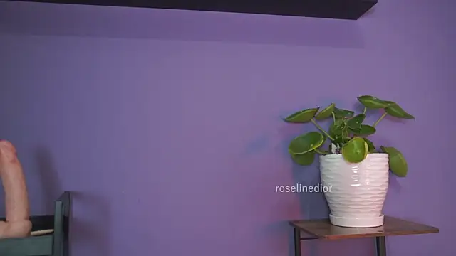 roselinedior online show from 05.26.26