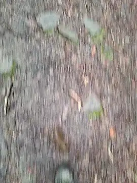 FreezingTie850 online show from 03.10.26