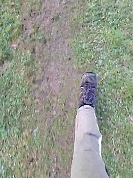 FreezingTie850 online show from 04.11.26