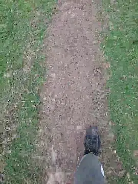 FreezingTie850 online show from 04.21.26