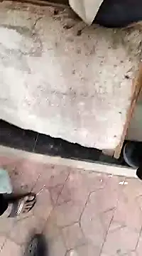 findmemylove online show from 12.22.24