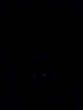 findmemylove online show from 12.29.24