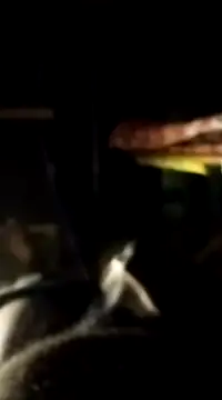 findmemylove online show from 01.07.25