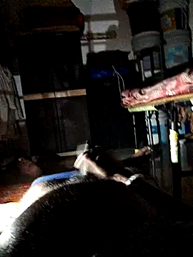 findmemylove online show from 02.12.25