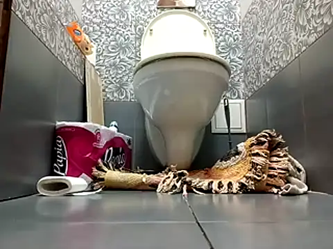 Snapshot of zsd_off chatting on 11.08.25 zsd off online show from 11.08.25