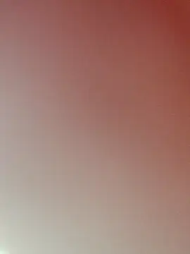 zhenzhen521 online show from 02.22.26