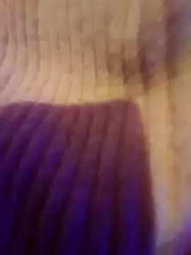 Snapshot of AsStraightAsARuler chatting on 12.03.25 AsStraightAsARuler online show from 12.03.25