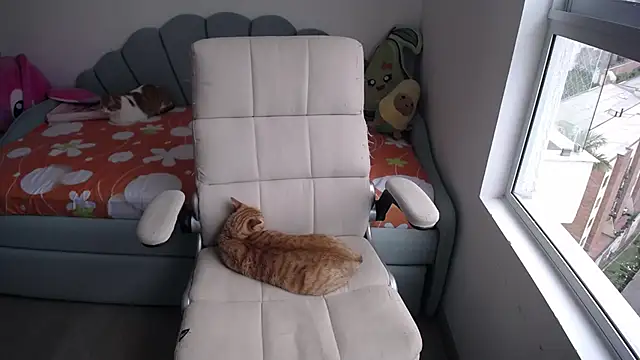  arianalzate  online show from 01.29.25