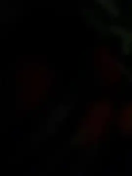 THE-LOVE-BOY online show from 04.25.26