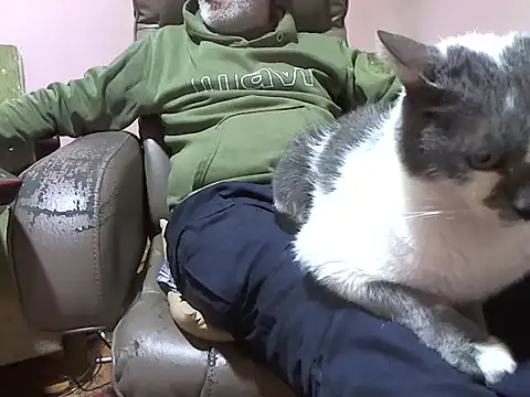 zormen355 online show from 04.03.26