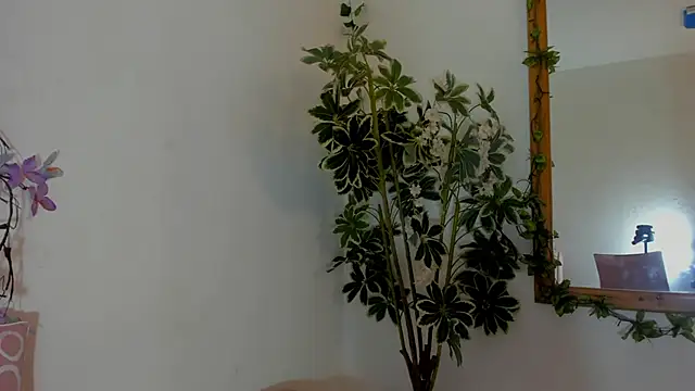 FaloonRoussel online show from 06.22.26