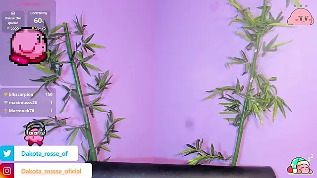 DakotaRosee online show from 02.17.25