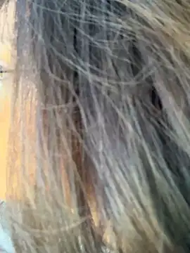 miacanela xo online show from 10.11.25