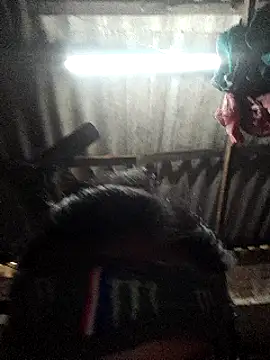 HotSexyBoudi online show from 01.12.25