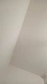 Snapshot of Anitabambola chatting on 03.05.25 Anitabambola online show from 03.05.25