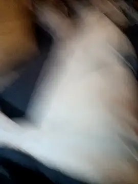 ySqmbVanbe online show from 11.11.25