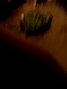 ySqmbVanbe online show from 02.16.26