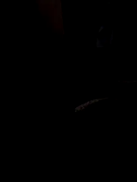 ySqmbVanbe online show from 03.13.26