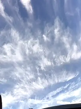 FloppyPickle4u online show from 01.19.26