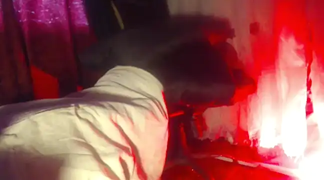 YuliFox online show from 03.20.25