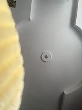 emiss  online show from 10.08.25