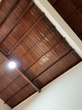 emiss  online show from 02.01.26