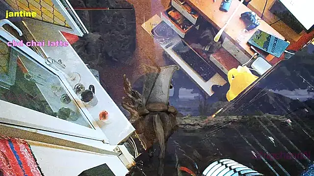 Snapshot of BongChannel chatting on 03.09.25 BongChannel online show from 03.09.25